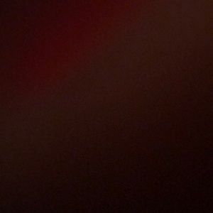 Meet your Posher, Kenzie